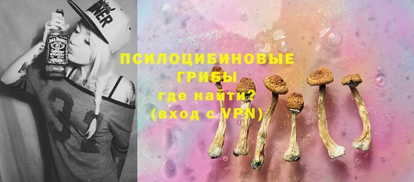 дурь Алексин